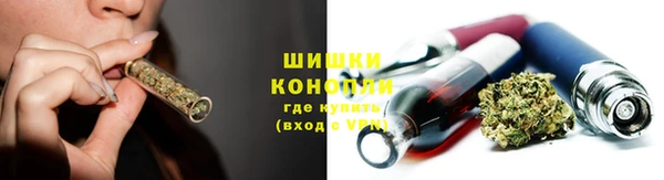 мяу мяу мука Аркадак