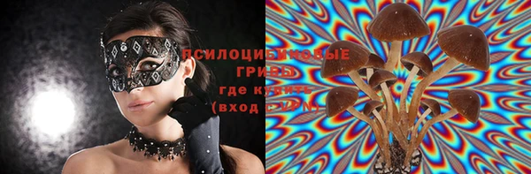 мяу мяу мука Аркадак