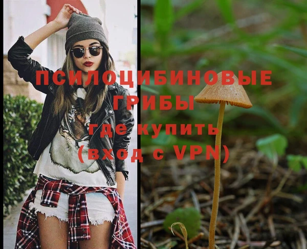 мяу мяу мука Аркадак
